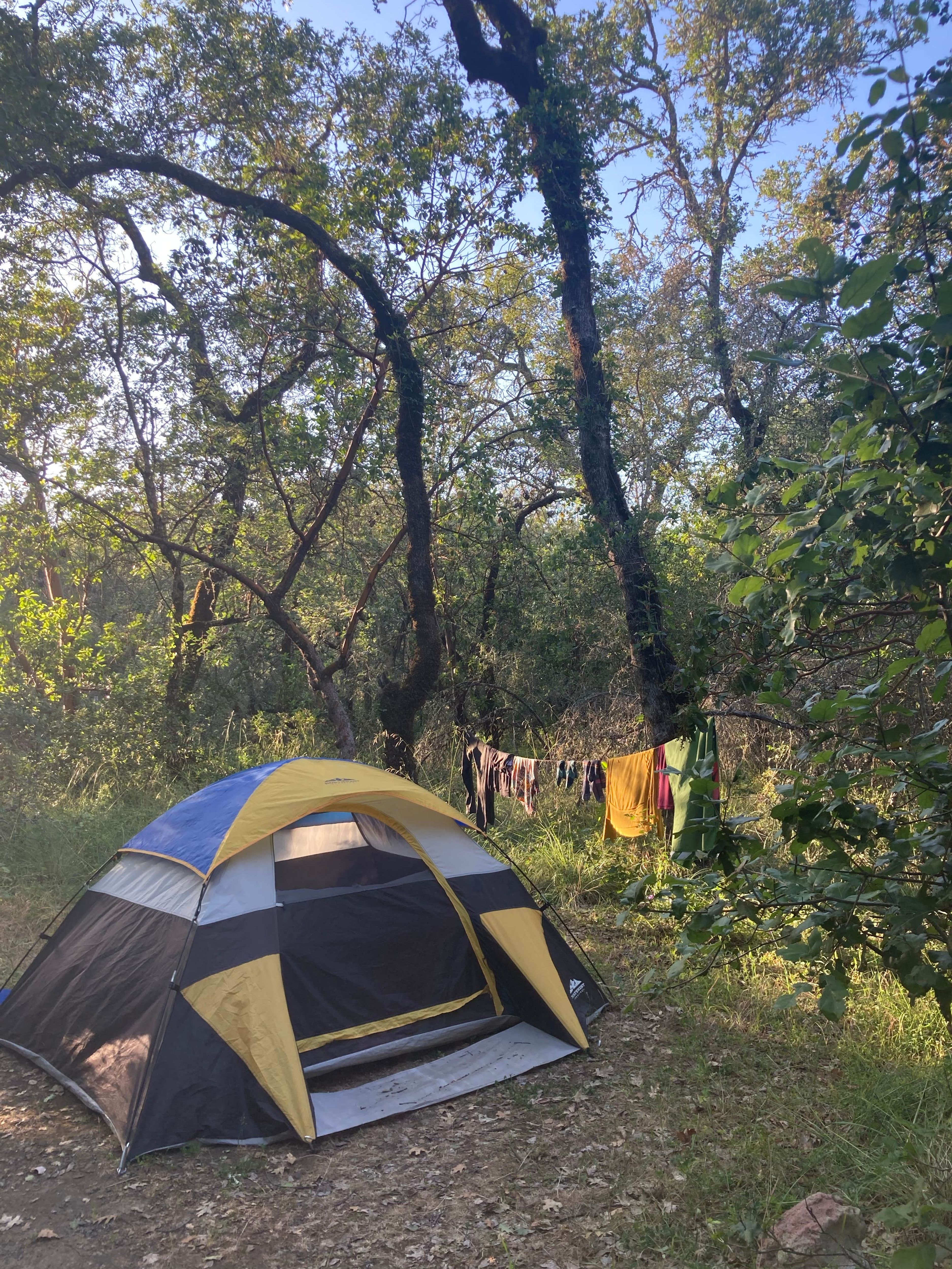 Camping in Sonoma, California | Largest Campgrounds Platform | Camping.com