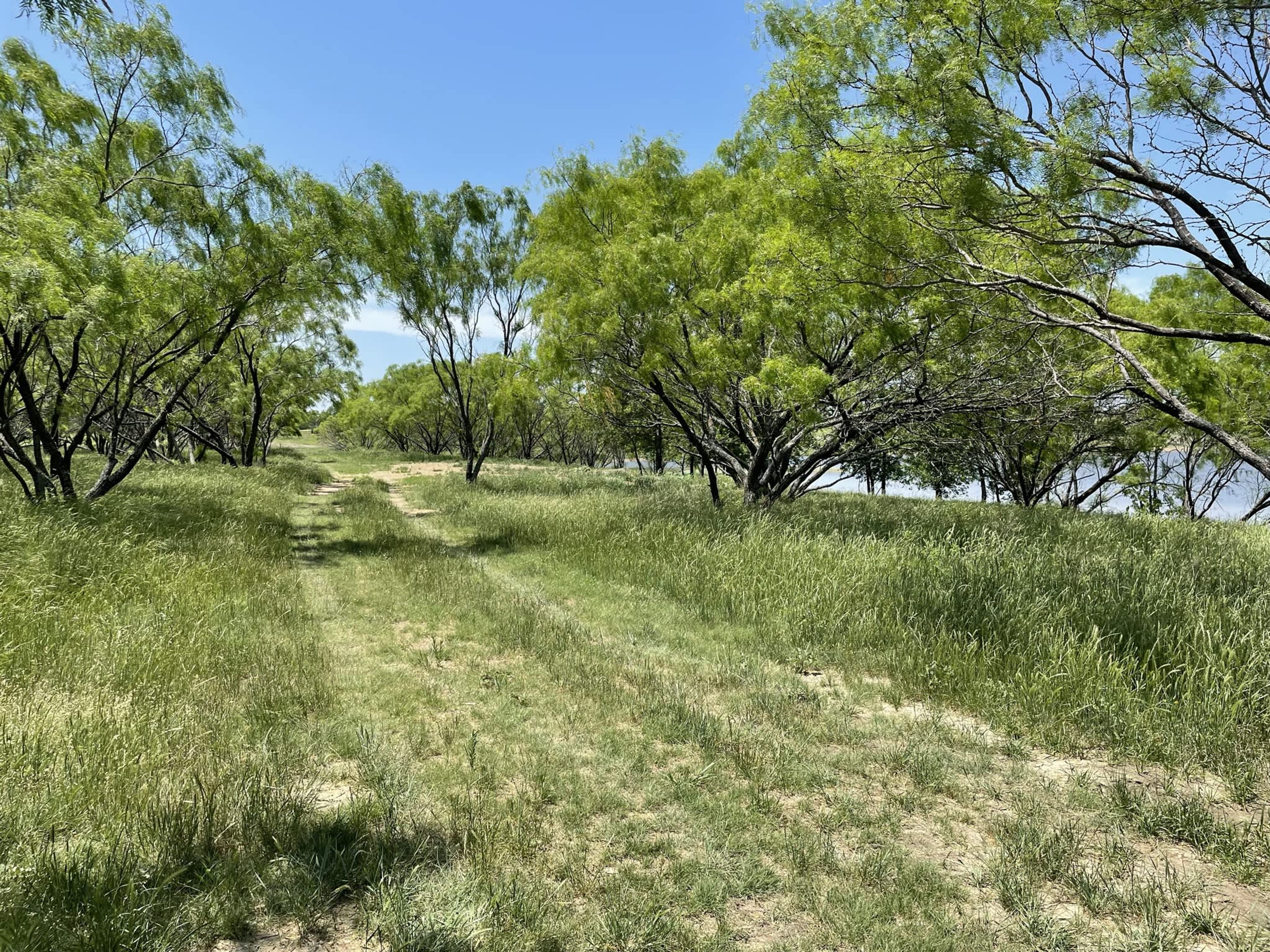 Verificar disponibilidad y reservar Rancho 4G en el Lago Tipps- Camping.com