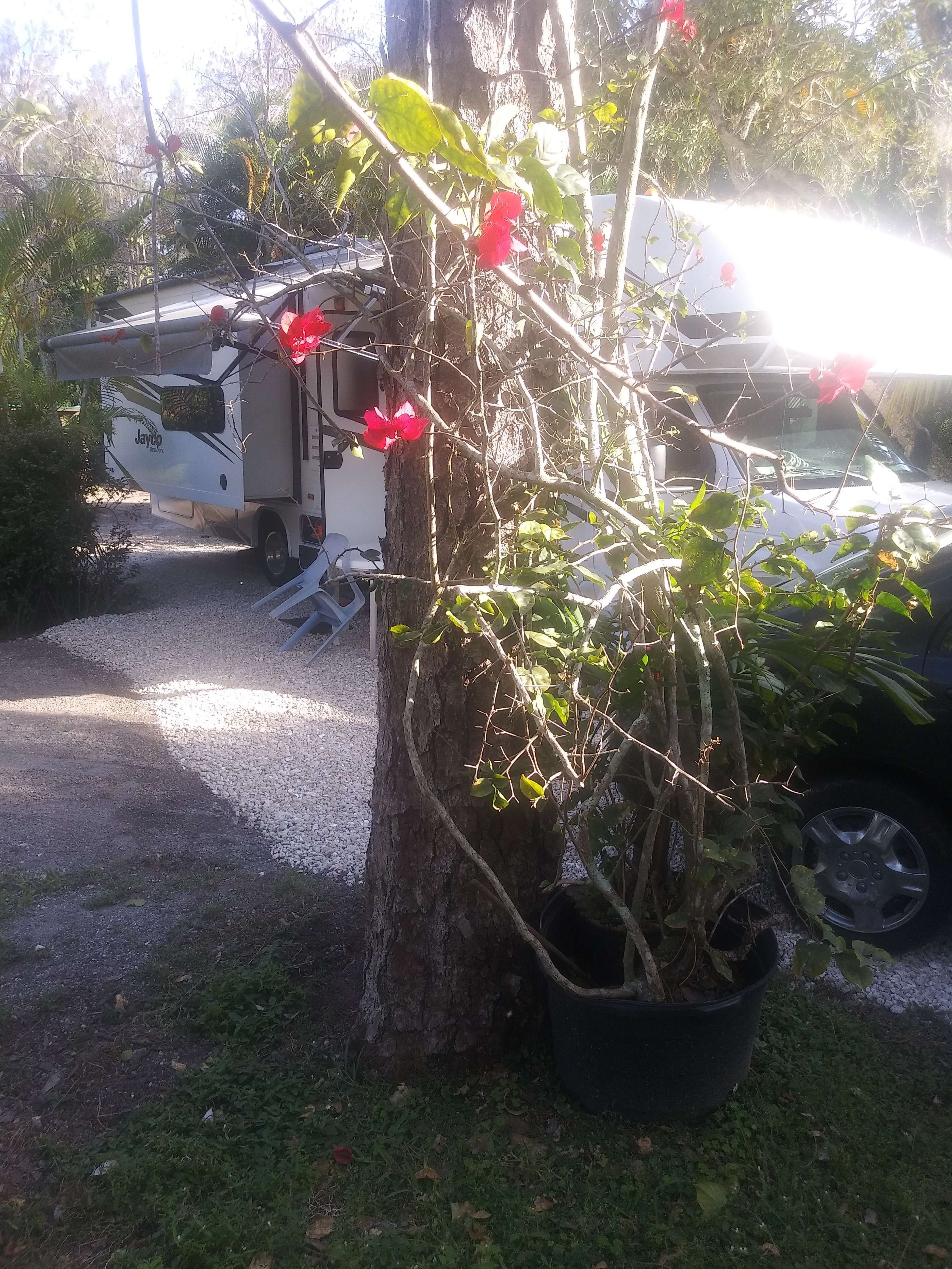 Camping in Jupiter Inlet-colony, Florida | Largest Campgrounds Platform |  Camping.com